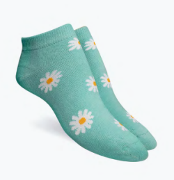 Elemento - Art. 101 Docena