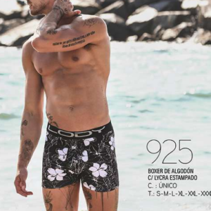 Lody - Art. 925  T S